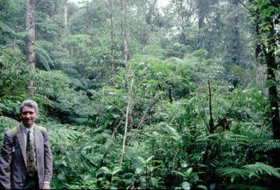 Jones Quetzel Biotope1small