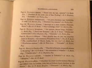 Just one of several of Darwin's beetle finds, recorded in Stephens' monumental Illustrations of British entomology.