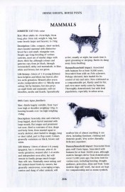 Do house guests include cats and dogs?