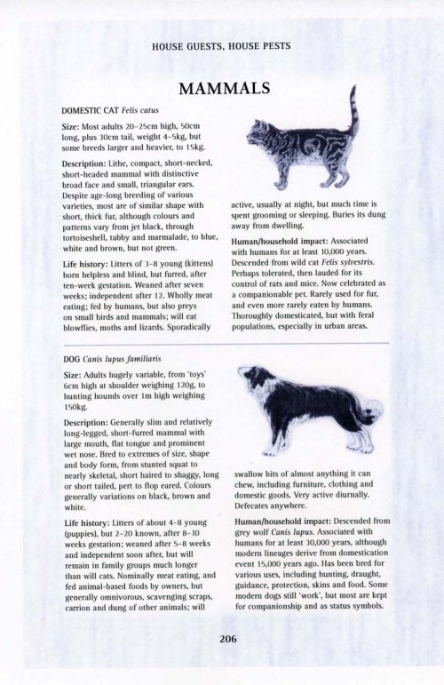 Do house guests include cats and dogs?