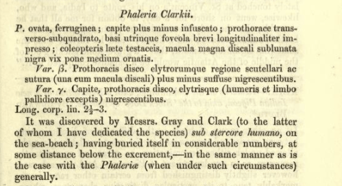 Screen shot 2015-02-11 at 11.54.57