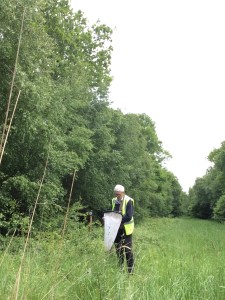 138.9_IT_RJ_006_P1_100615