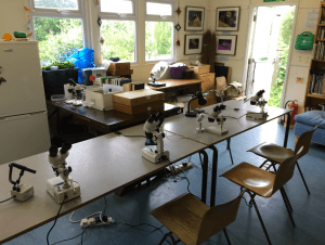 First set up your laboratory.