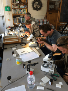 It all looks very professional.