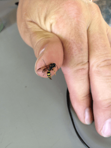 Screen Shot 2015-11-03 at 18.50.40