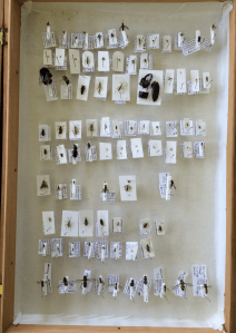 Screen Shot 2015-11-03 at 18.51.12