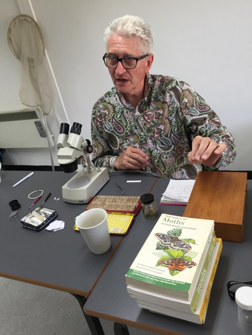 All you need is a basic (and cheap) stereomicroscope with low power, nothing fancy.