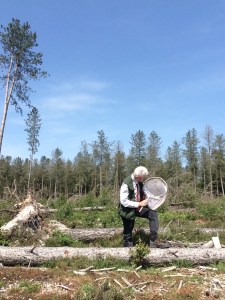 The entomologist poses with his net.