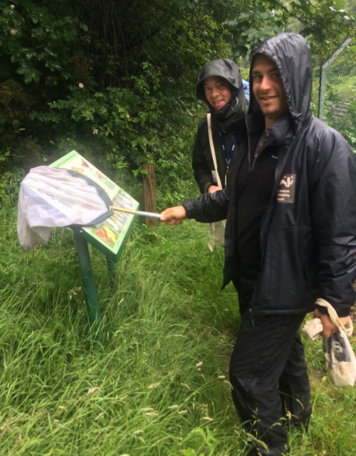 We caught one butterfly; sort of.