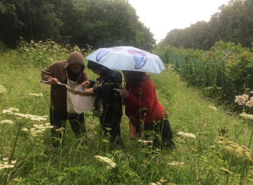 I hate to tell you, but you're holding that beating tray upside down.