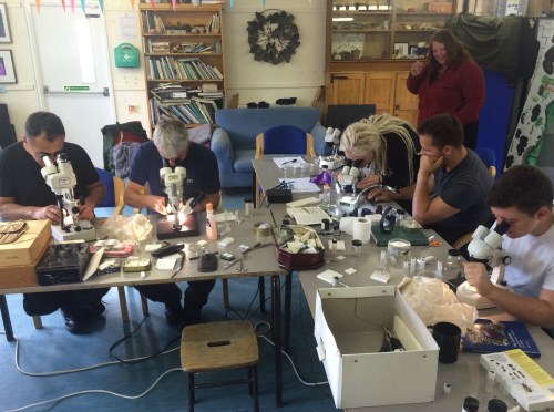 Despite our meagre findings, microscope work is still very rewarding — everything, but everything is revealed as a miniature marvel of colour or form.