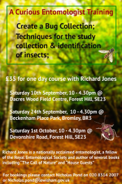 Three prime localities in Lewisham are set to host the first workshops.